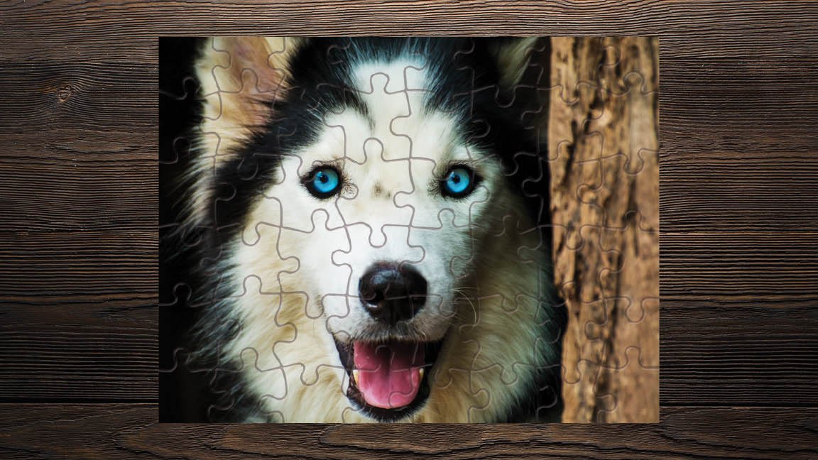 Dog Husky Siberian Pet Fur Nursery Kids Game Toy Gift 11.5"x5.5" Puzzle Jigsaw 48 pcs - Print Star Group LLC