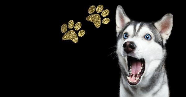Set of 1 - Custom Paw Dog Cat Pet Metallic Gold Silver Glitter Sparkle Vinyl Sticker Decal