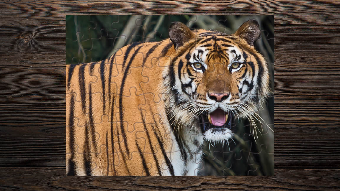Tiger Jungle Animal Predator Tongue Fangs Fur Nursery Kids Game Toy Gift 11"x8.5" Puzzle Jigsaw 48 pcs - Print Star Group LLC